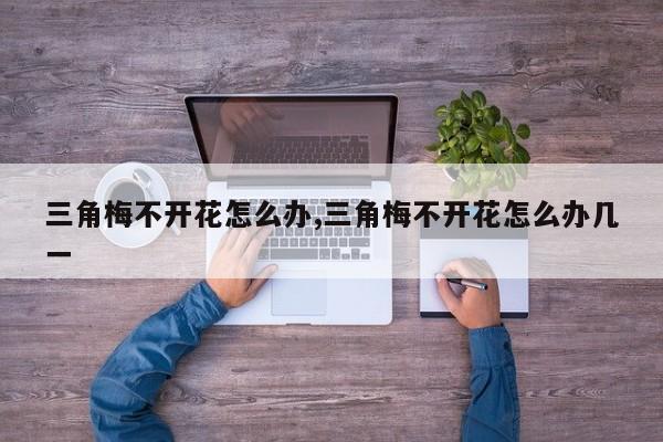 三角梅不开花怎么办,三角梅不开花怎么办几一