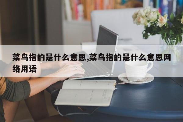菜鸟指的是什么意思,菜鸟指的是什么意思网络用语