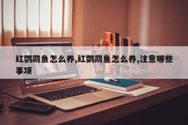 红鹦鹉鱼怎么养,红鹦鹉鱼怎么养,注意哪些事项