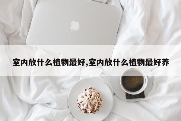 室内放什么植物最好,室内放什么植物最好养