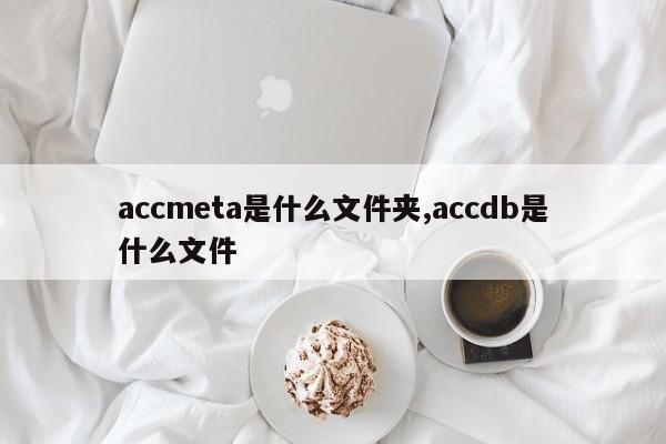 accmeta是什么文件夹,accdb是什么文件