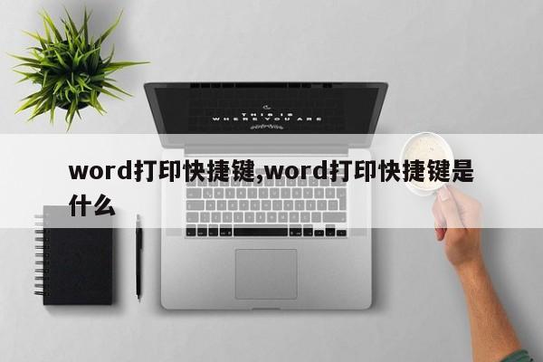 word打印快捷键,word打印快捷键是什么