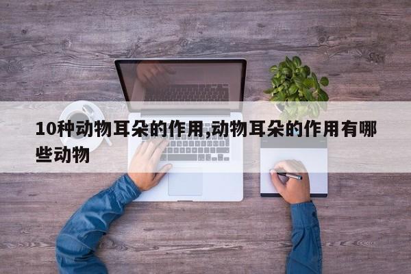 10种动物耳朵的作用,动物耳朵的作用有哪些动物