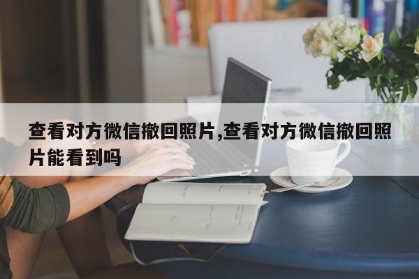 查看对方微信撤回照片,查看对方微信撤回照片能看到吗