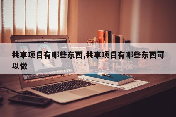 共享项目有哪些东西,共享项目有哪些东西可以做