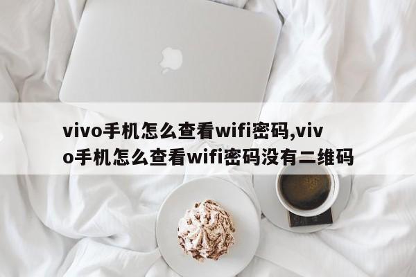 vivo手机怎么查看wifi密码,vivo手机怎么查看wifi密码没有二维码