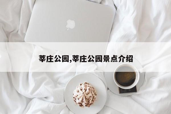 莘庄公园,莘庄公园景点介绍