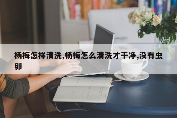 杨梅怎样清洗,杨梅怎么清洗才干净,没有虫卵