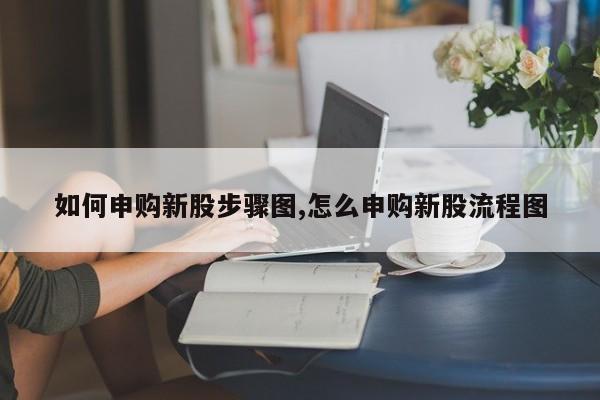 如何申购新股步骤图,怎么申购新股流程图