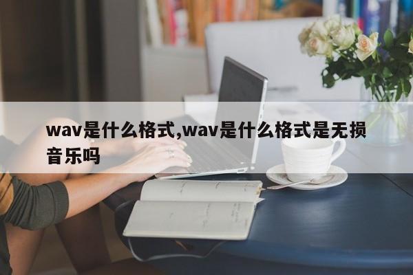 wav是什么格式,wav是什么格式是无损音乐吗