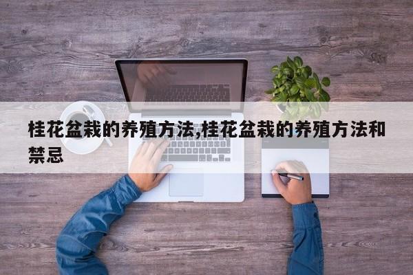 桂花盆栽的养殖方法,桂花盆栽的养殖方法和禁忌