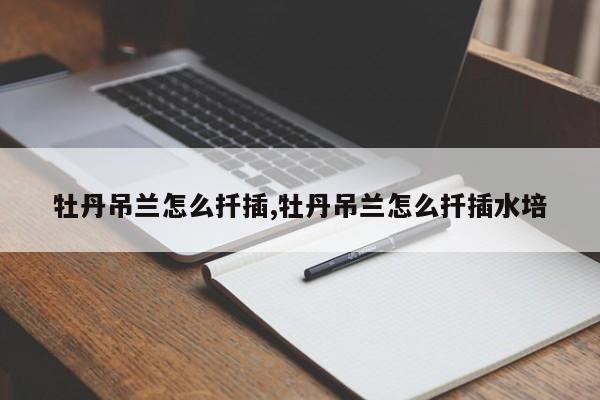 牡丹吊兰怎么扦插,牡丹吊兰怎么扦插水培