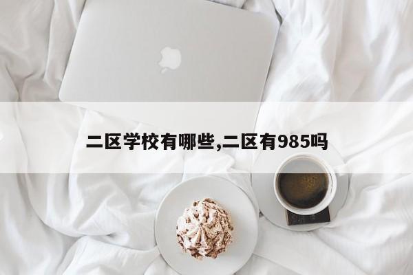 二区学校有哪些,二区有985吗