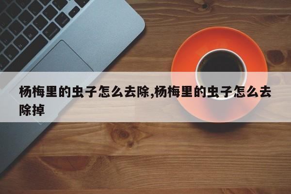 杨梅里的虫子怎么去除,杨梅里的虫子怎么去除掉
