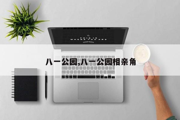八一公园,八一公园相亲角