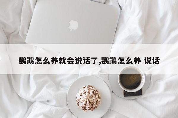 鹦鹉怎么养就会说话了,鹦鹉怎么养 说话