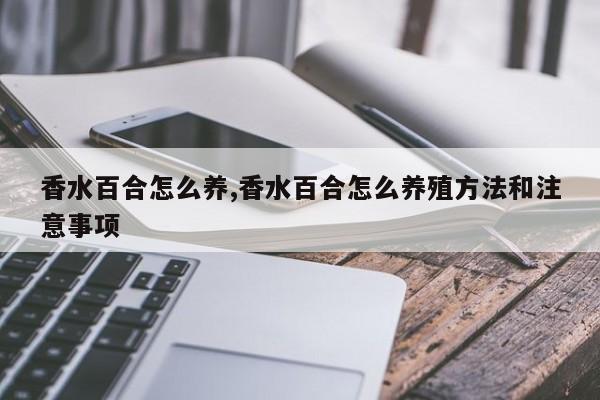 香水百合怎么养,香水百合怎么养殖方法和注意事项