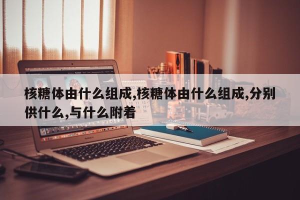 核糖体由什么组成,核糖体由什么组成,分别供什么,与什么附着