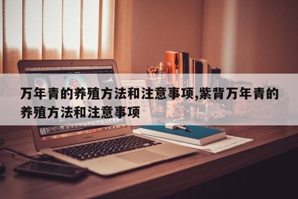万年青的养殖方法和注意事项,紫背万年青的养殖方法和注意事项