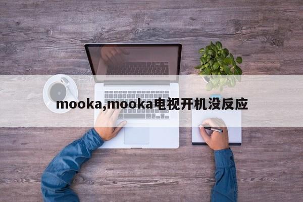 mooka,mooka电视开机没反应