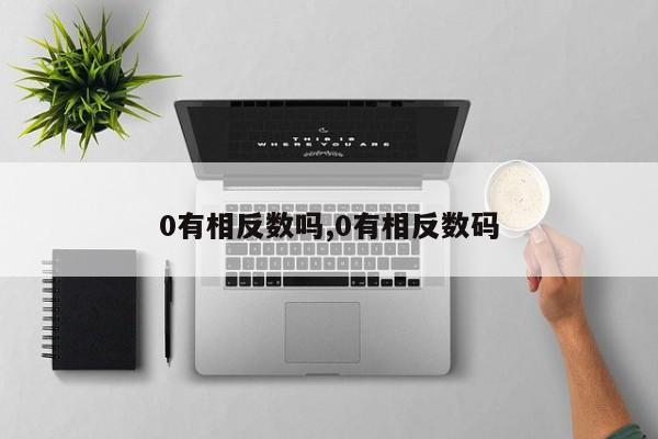 0有相反数吗,0有相反数码