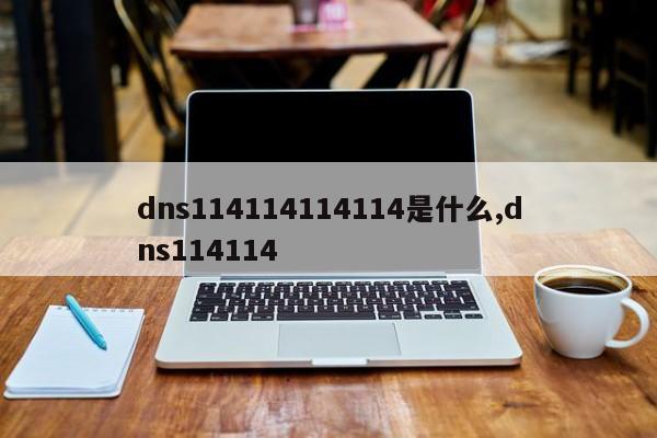 dns114114114114是什么,dns114114