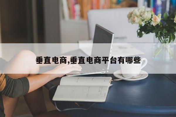 垂直电商,垂直电商平台有哪些