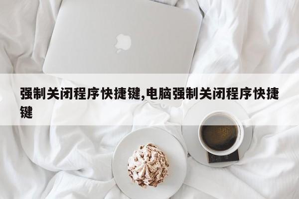 强制关闭程序快捷键,电脑强制关闭程序快捷键