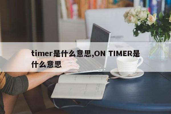timer是什么意思,ON TIMER是什么意思