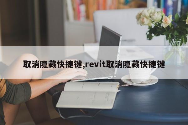 取消隐藏快捷键,revit取消隐藏快捷键