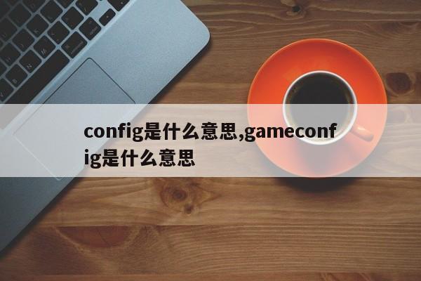 config是什么意思,gameconfig是什么意思