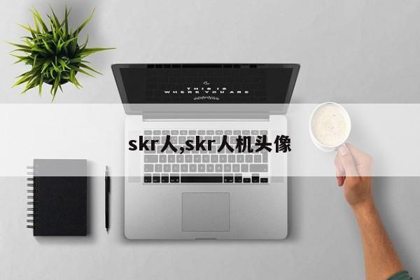 skr人,skr人机头像