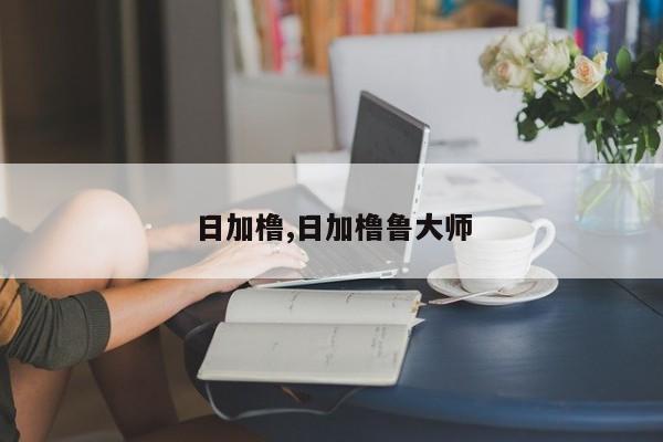 日加橹,日加橹鲁大师