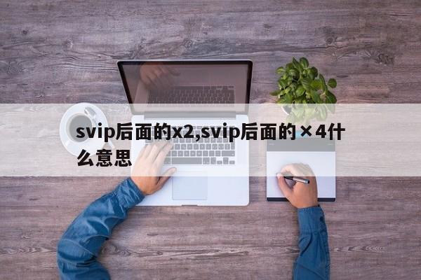 svip后面的x2,svip后面的×4什么意思