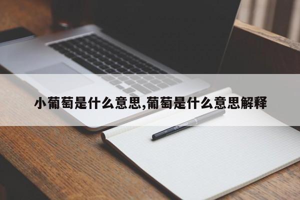 小葡萄是什么意思,葡萄是什么意思解释