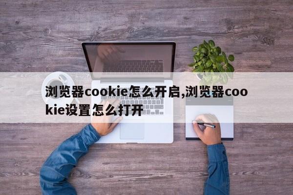 浏览器cookie怎么开启,浏览器cookie设置怎么打开