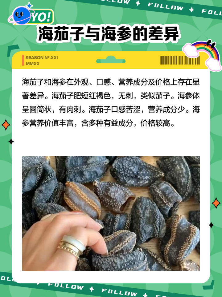 海茄子图片,海茄子图片大全