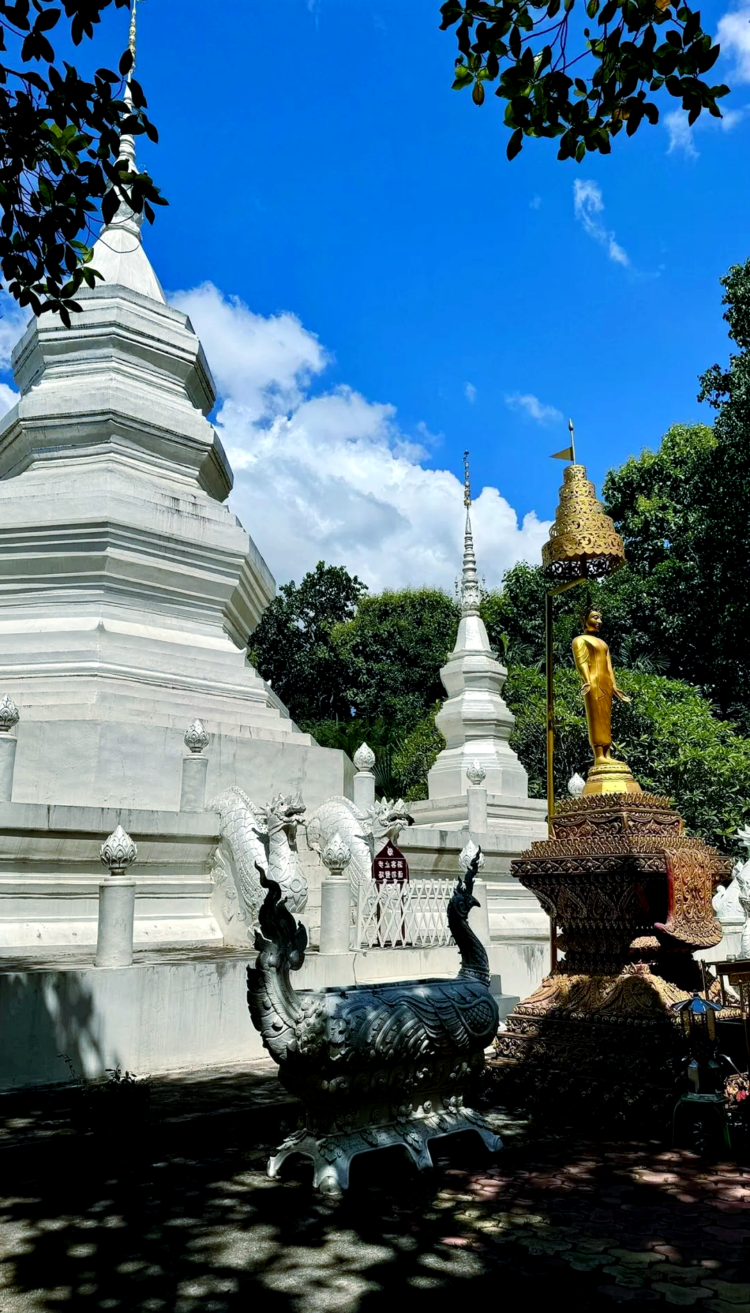 西双版纳旅游景点,西双版纳旅游景点必玩的地方