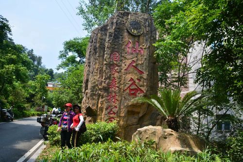 仙人谷国家森林公园,仙人谷国家森林公园介绍