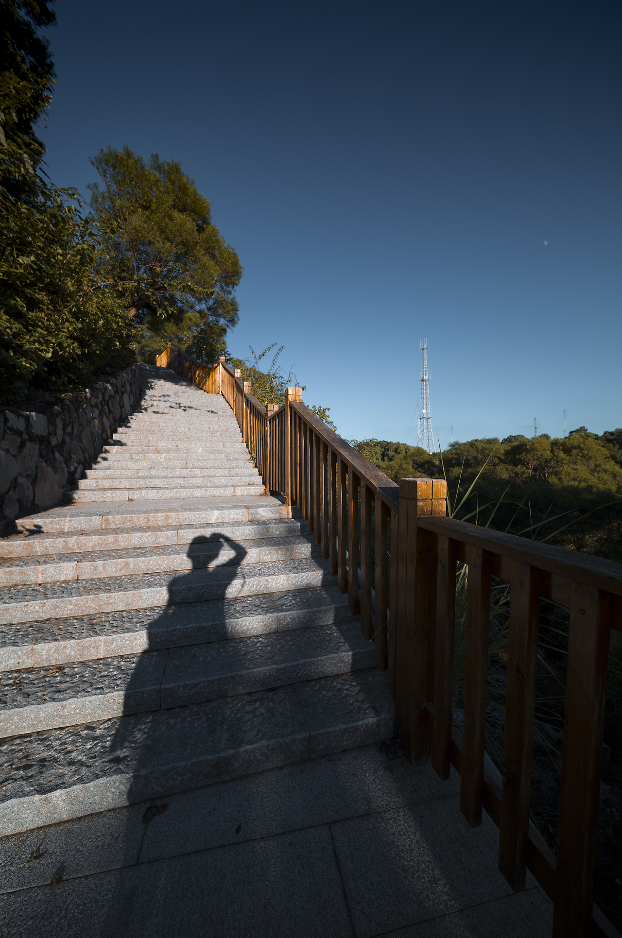 福州天马山公园,福州天马山公园还有向日葵吗