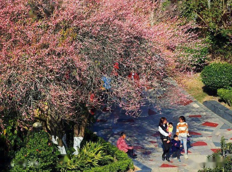 白岩公园,白岩公园路线图