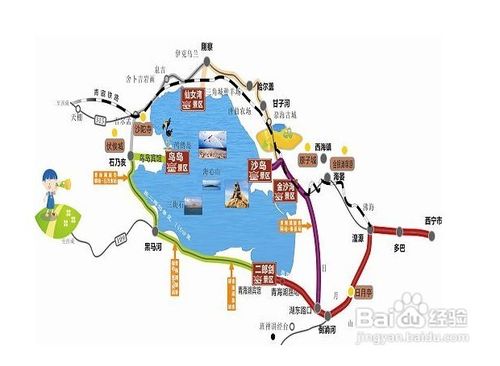 青海湖自助游攻略,青海湖自由行游玩攻略