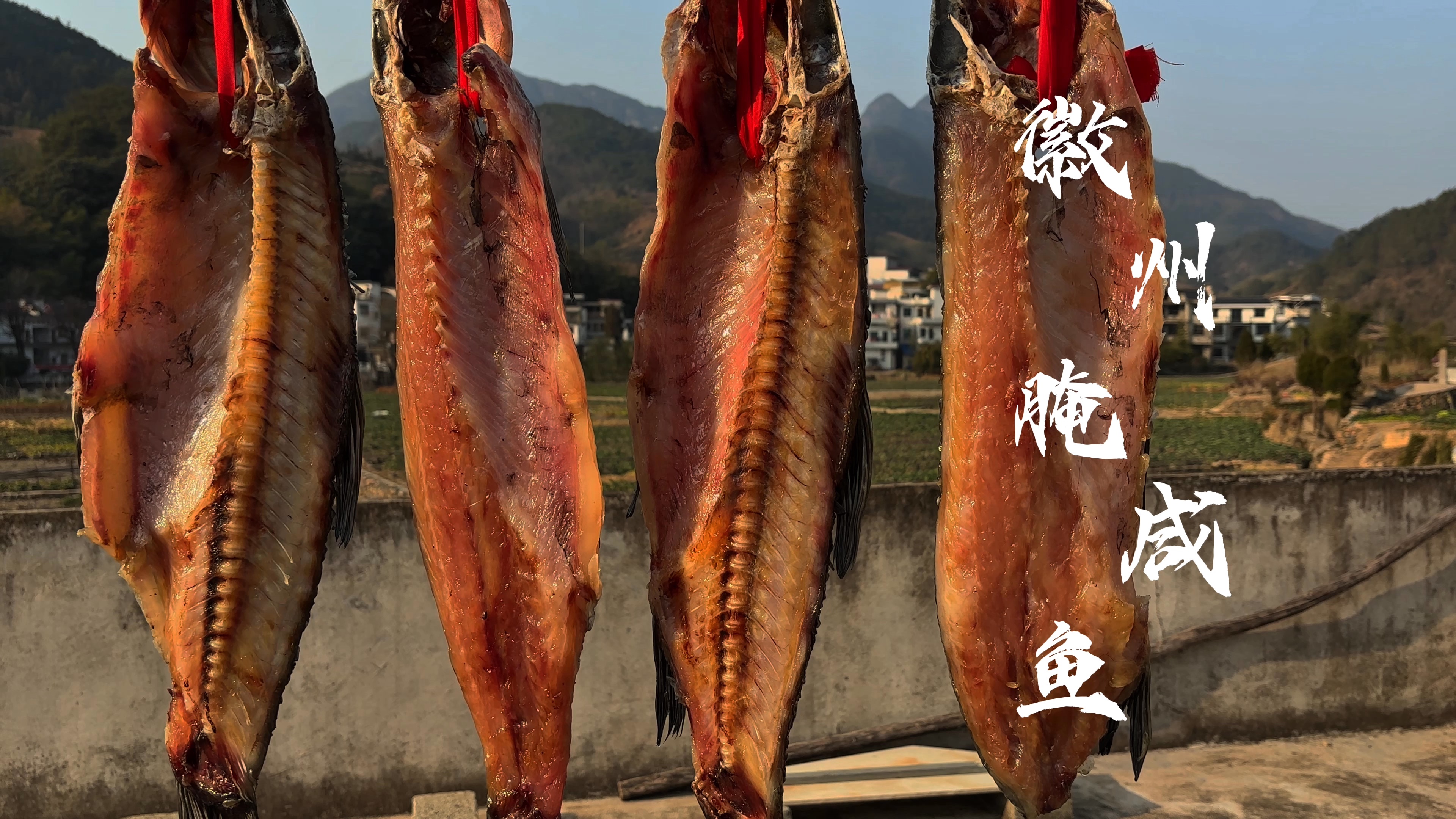 腌鱼的制作方法,怎么腌咸肉的制作方法