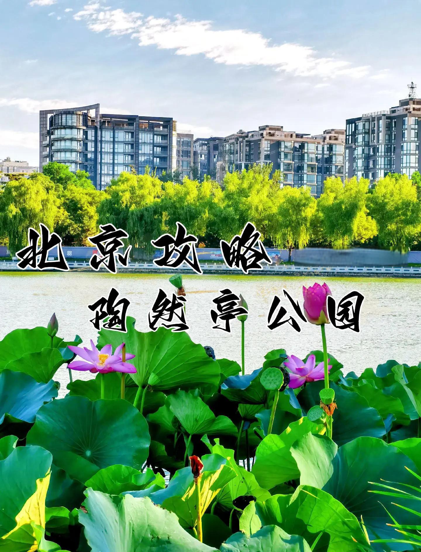 北京公园门票,北京公园门票价格一览