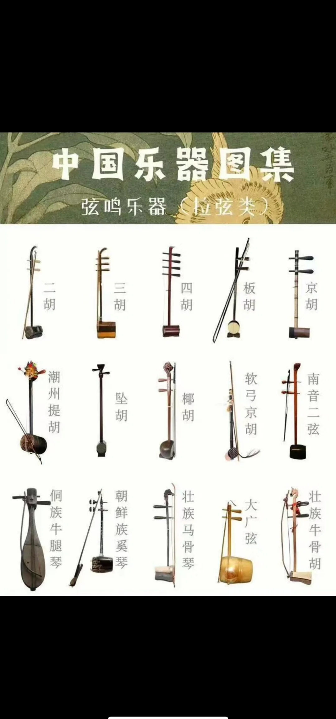 什么乐器最容易学,什么乐器最容易学学的人又最少