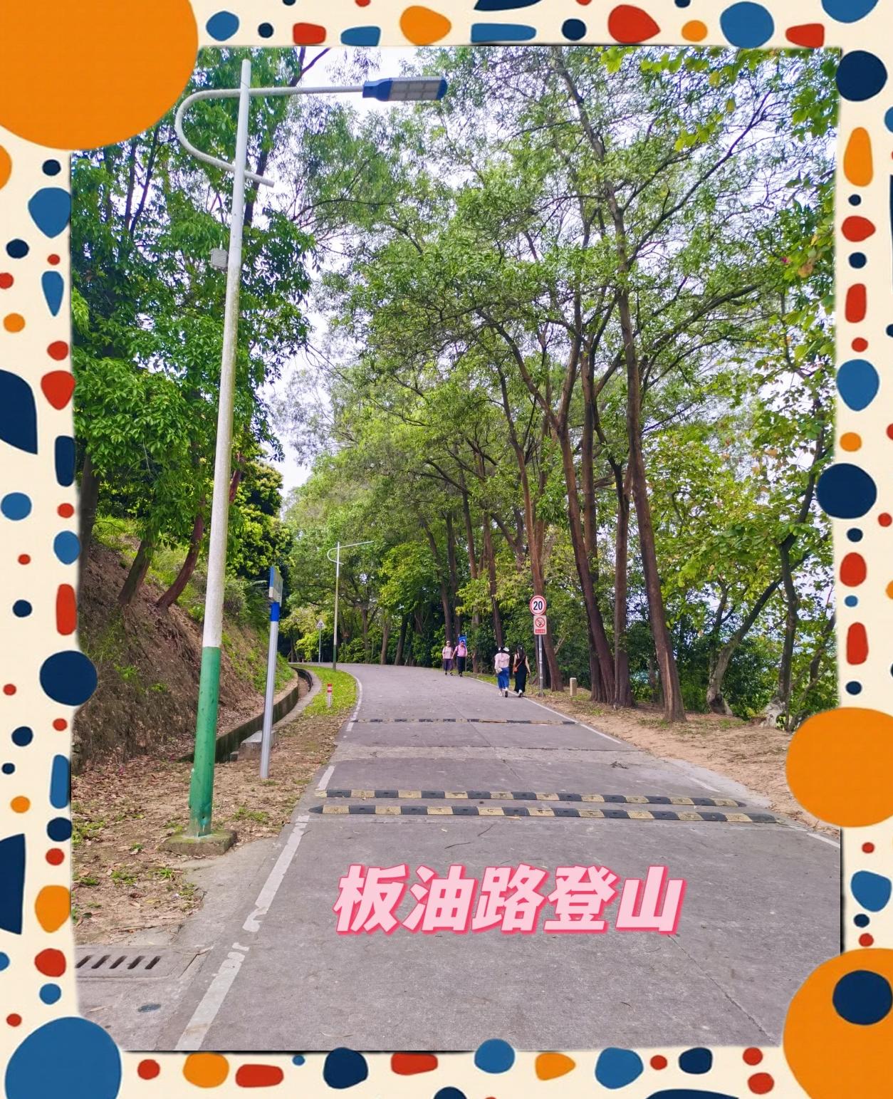 风云岭森林公园,风云岭森林公园门票价格