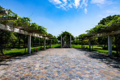 风云岭森林公园,风云岭森林公园门票价格