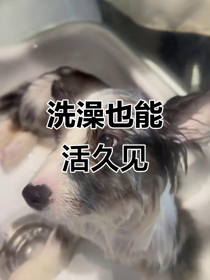 活久见什么意思,活久见下一句怎么接