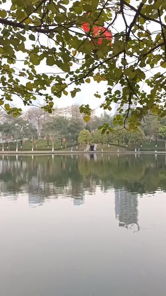南海千灯湖公园,南海千灯湖公园开放吗