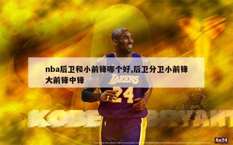 大前锋和小前锋的区别,篮球大前锋和小前锋的区别